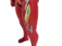 Photo de la figurine Iron Man avec trace d'impact dû à son utilisation