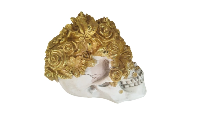 Photo du Crâne avec fleurs dorées vue du profil droit