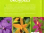 Les orchidées de A à Z