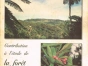 Contribution à l'étude de la forêt réunionnaise à partir d'un exemple : la forêt humide de moyen