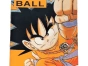 Dragon Ball Manga - édition kiosque - 25 tomes