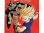 Dragon Ball Manga - édition kiosque - 25 tomes