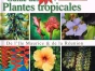 Guides des plantes tropicales